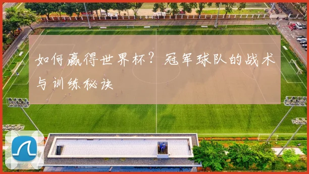 如何赢得世界杯？冠军球队的战术与训练秘诀